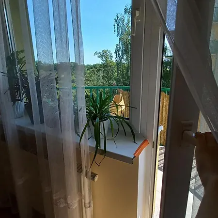 Rodzinny Blisko Hali Stulecia I Zoo *