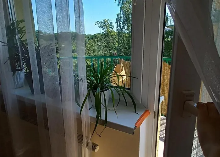 Rodzinny Blisko Hali Stulecia I Zoo *